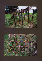 /album/miro-pallo/bez-nazvu-jpg/